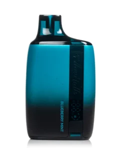 Blueberry Mint
